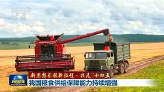【新思惟引领新征程·不凡“十四五”】我国粮食